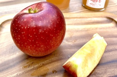 「加積りんご」は糖度が高く、香り、食感もよいりんごです（冨居幹生りんご園にて撮影）