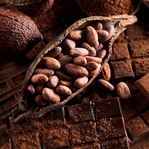 j5gFS6JDDcEJf7YAOtHp.jpg?w=940&h=940