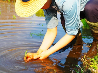 j6QOXuueUY7RooGKCDhE.jpg?w=940&h=940