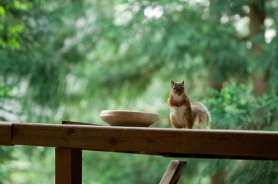 j8Q9ubd0pYYlH6kQ26hT.jpg?w=940&h=940