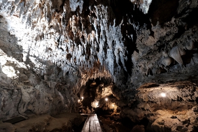 j9LKz7pi0gheIXxnLlgH.jpg?w=940&h=940