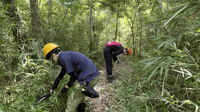 j9f1dn5yHFG0KsKVHUPi.png?w=940&h=940