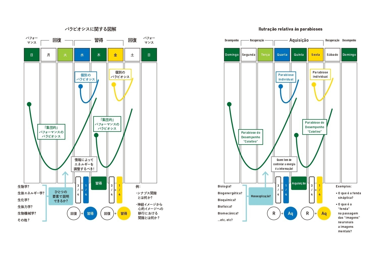 パラビオシスに関する図解
