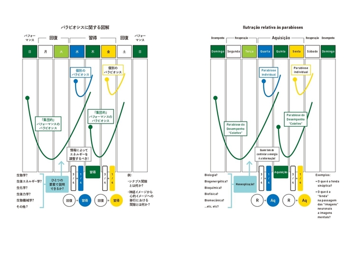 パラビオシスに関する図解