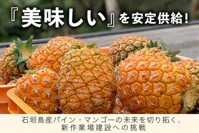 jARMjf8ZkRdazQo837cS.jpeg?w=940&h=940