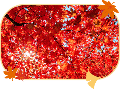 jB7KVc0meqZ0SAvpVOce.png?w=940&h=940