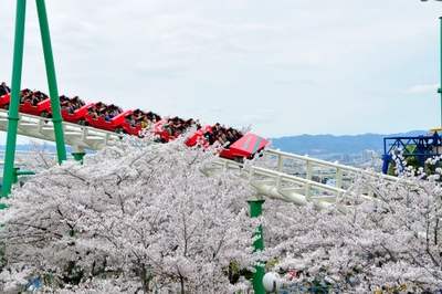 jCddPB2HjPnYa67dLsNm.JPG?w=940&h=940