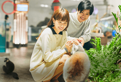 jDzwaudVa760hfX0jwl0.png?w=940&h=940