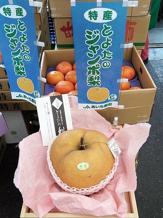 豊田市名産・日本一大きな品種の梨「愛宕(あたご)」を 通常流通価格の