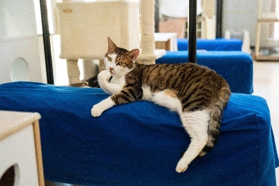 jFQF2goO488YgH5CN26Y.jpeg?w=940&h=940