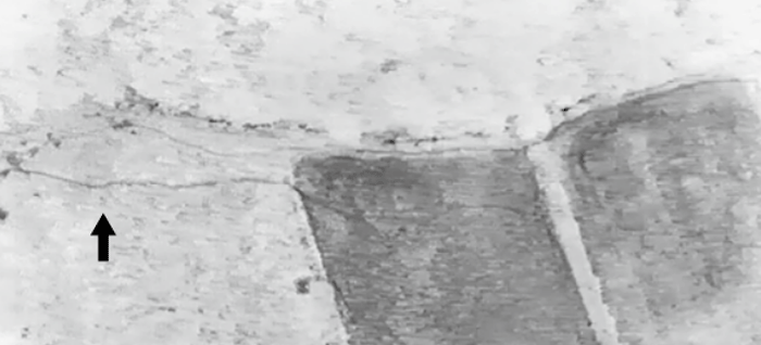 <ドローンを活用して発見した獣道 *矢印が獣道>