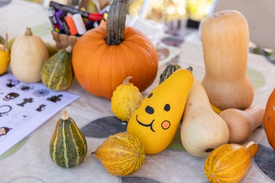 jGq0TqgLYkvf1aqjL9kr.jpg?w=940&h=940