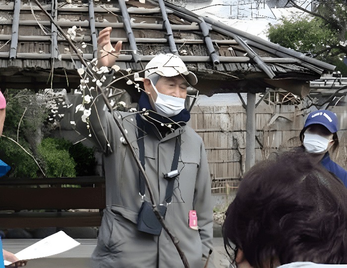 野草ウォッチング(昨年度の様子)