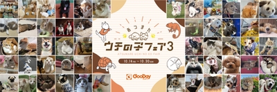 jIaxQHQ1tERIlzOUkT9o.jpg?w=940&h=940