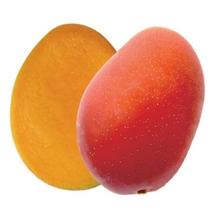 jJ1IMDaBldMcnv5GlCjd.jpg?w=940&h=940