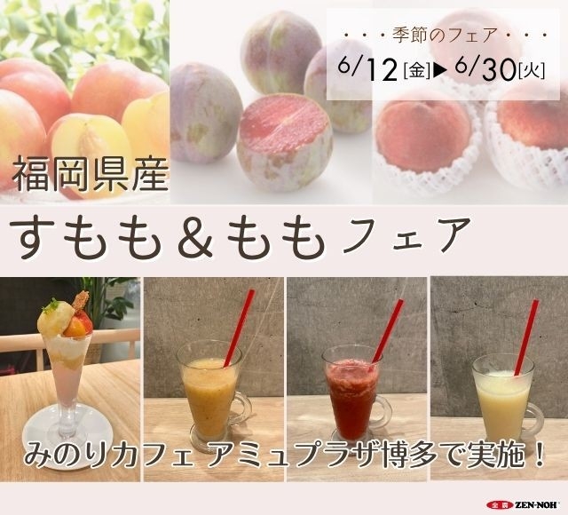 ～甘酸っぱさとあふれる果汁！～みのりカフェ博多店で「福岡県産すもも＆ももフェア」を６月１２日(金)～６月３０日(火)まで開催
