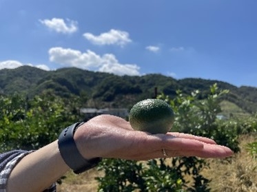 jKzoA96KmCFicAGxWwY1.jpg?w=940&h=940