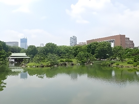 園内から見える 中村中学校・高等学校(写真右手)