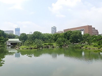 園内から見える 中村中学校・高等学校（写真右手）