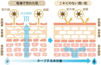 jNPxRDCMdCOnDbqI1j0c.jpg?w=940&h=940