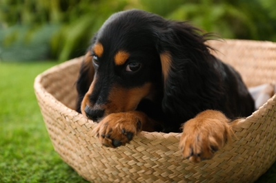 jOtH0FIIuBqzUEOpn8Y8.jpeg?w=940&h=940