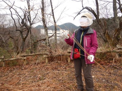 材料をじっくり選んでいきます