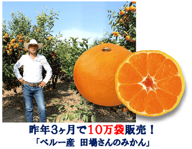 jQN400fPMRf4swU8yMik.png?w=940&h=940