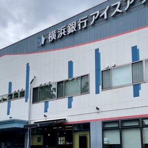 jQankTsYz9eNfu3fukDt.jpeg?w=940&h=940