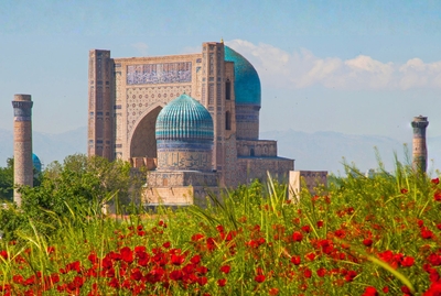 jRcY5iXFG03FiaQ9QiSP.jpg?w=940&h=940