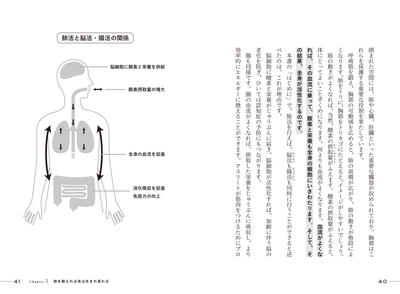 肺活と脳活・腸活の関係 