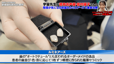 こんな方に知っていただきたい「ルミネアーズ」という選択肢