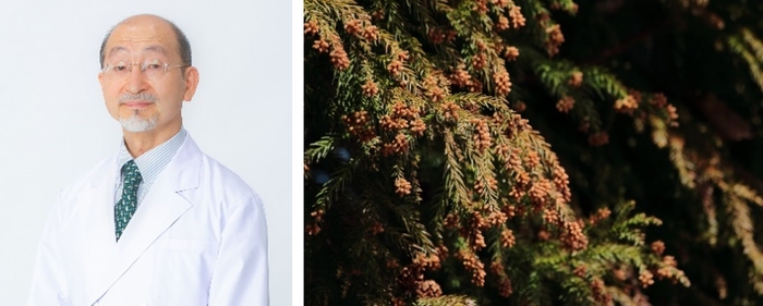 今年の花粉は、早くて・多い