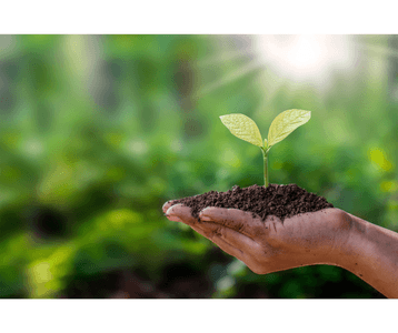 jUZ9ZpTUIhhSfJcbd7UY.png?w=940&h=940