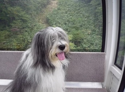 jVILFbWXqsxDpbDAv1WQ.jpg?w=940&h=940