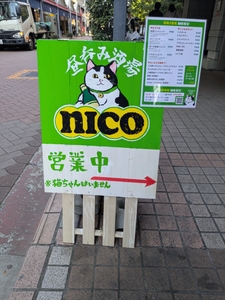 jVXF9NKOrjjRiCvmvUkN.jpg?w=940&h=940