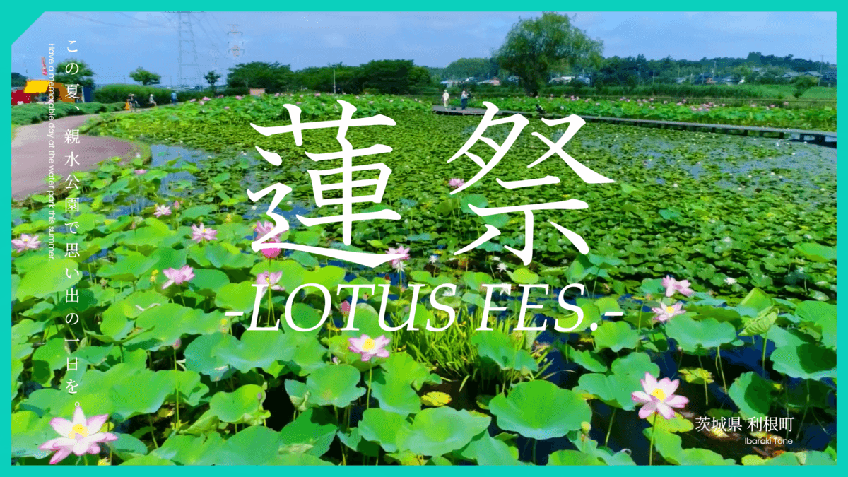 【7/8（土）利根親水公園】利根町観光協会主催『TONE LOTUS FES.2023 ～蓮祭～』開催！