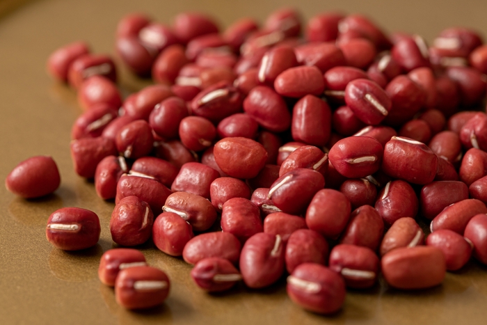 出雲産大納言小豆