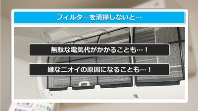 jXPmchJyvSFavSbLGefz.jpg?w=940&h=940