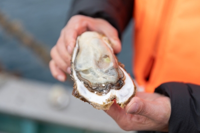 jYhYfawmnd9LQaDpNx3V.jpg?w=940&h=940