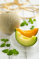 いばらきメロン品評会を開催！生産量日本一を誇る 茨城県産メロンの魅力を発信し、最高の一玉を決める