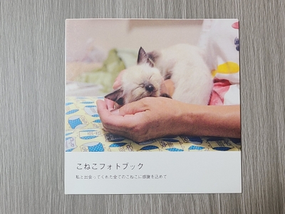 jZJlvnKNJSuR1bsLscdQ.jpeg?w=940&h=940