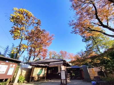 jZVBSKm7S724DvNgGteG.jpg?w=940&h=940