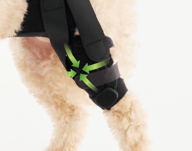 jZhO2JgSVj9NBVEjTkvy.png?w=940&h=940