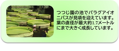 jaTJhea5nj3oJWygbULG.jpg?w=940&h=940