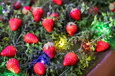 jaqbKt085S9dGpKZ84cw.jpg?w=940&h=940