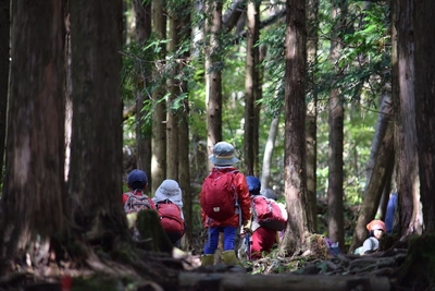 jbJBBE30ZJsnr0AXSzol.jpg?w=940&h=940