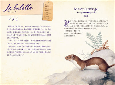 jbcYqMQrtx1H0HgKWZTf.png?w=940&h=940