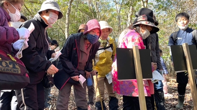 jcjzzzjW8Y2Ok1Ejvxgs.jpeg?w=940&h=940