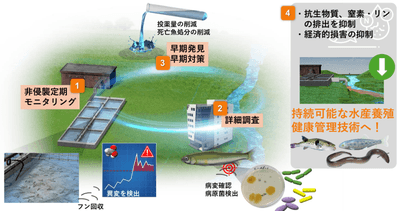 図2 本技術を活用した次世代の水産養殖健康管理技術