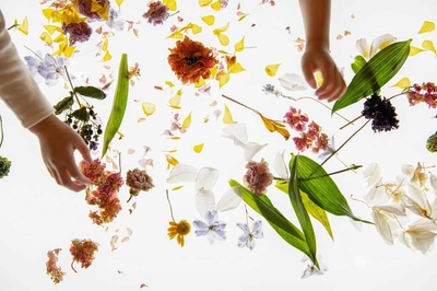 jcwNoooCI2DobqQfG8CO.jpg?w=940&h=940